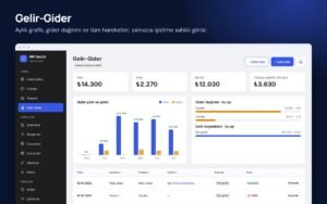 Agency Deck gelir-gider: aylık grafik ve hareketler