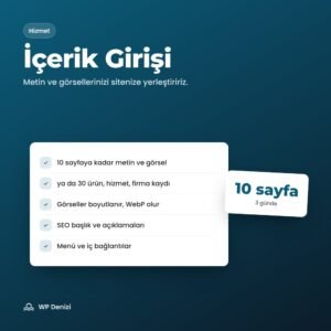 İçerik Girişi